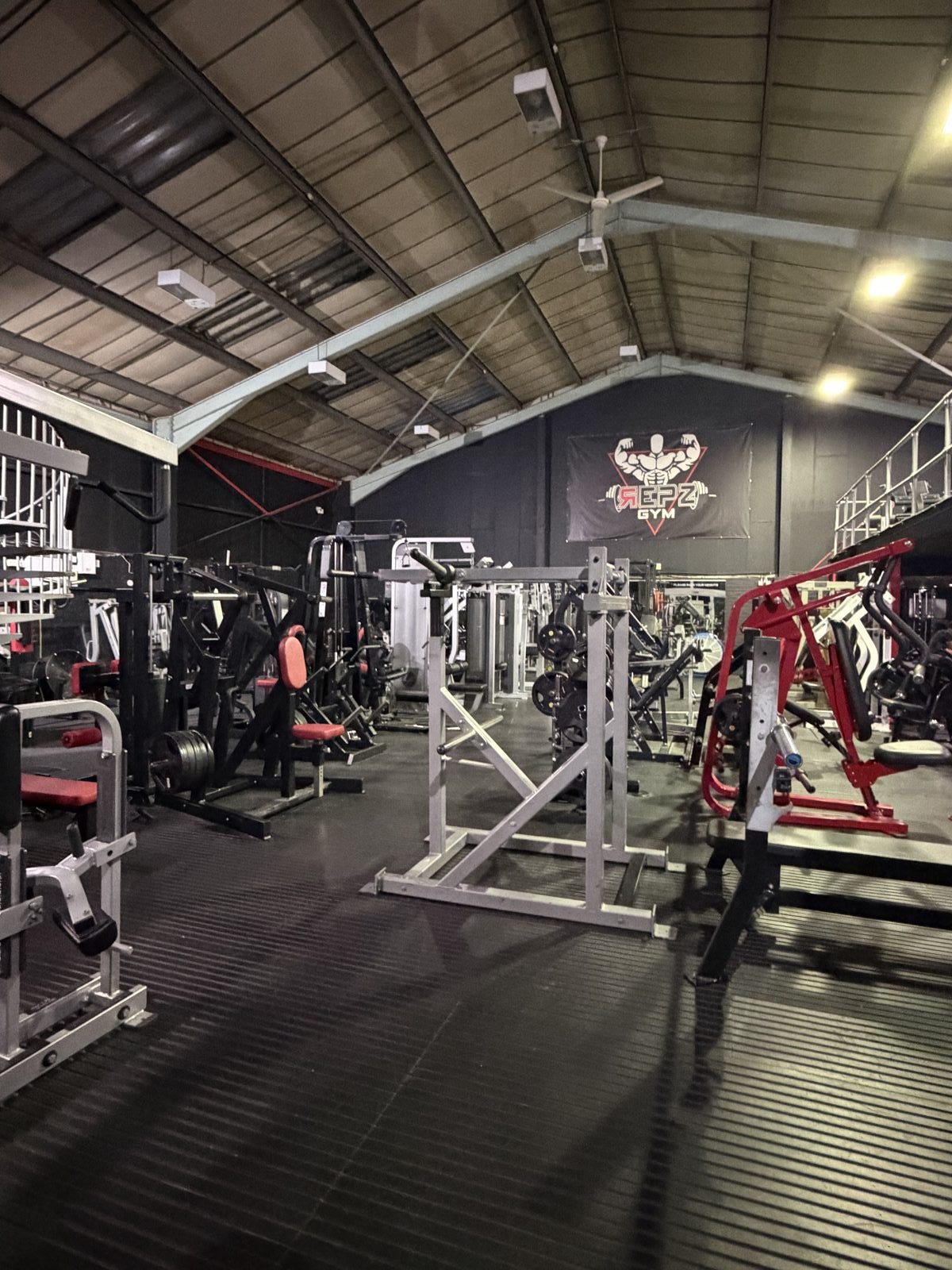 Strength machines and dumbbells on the training floor at Repz Gym